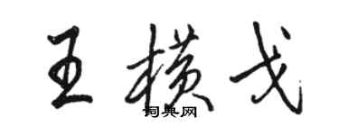 骆恒光王横戈行书个性签名怎么写