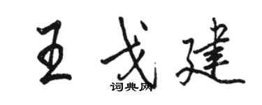 骆恒光王戈建行书个性签名怎么写