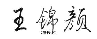 骆恒光王锦颜行书个性签名怎么写