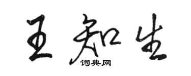 骆恒光王知生行书个性签名怎么写
