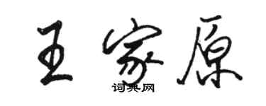 骆恒光王家原行书个性签名怎么写