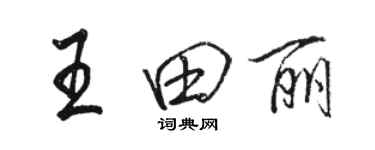 骆恒光王田丽行书个性签名怎么写