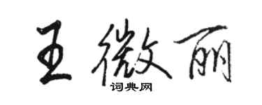 骆恒光王微丽行书个性签名怎么写