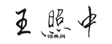 骆恒光王照中行书个性签名怎么写