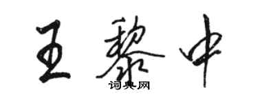 骆恒光王黎中行书个性签名怎么写