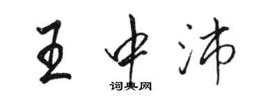 骆恒光王中沛行书个性签名怎么写