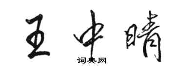 骆恒光王中晴行书个性签名怎么写