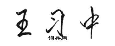 骆恒光王习中行书个性签名怎么写