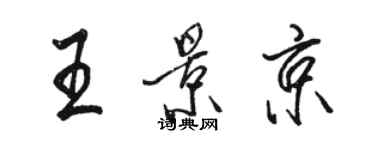 骆恒光王景京行书个性签名怎么写
