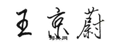 骆恒光王京蔚行书个性签名怎么写