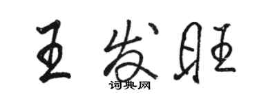 骆恒光王发旺行书个性签名怎么写