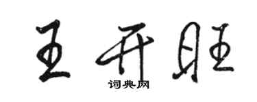 骆恒光王开旺行书个性签名怎么写