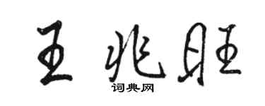 骆恒光王兆旺行书个性签名怎么写