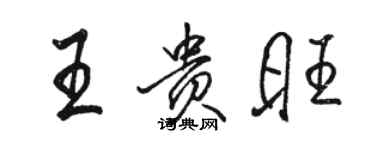 骆恒光王贵旺行书个性签名怎么写