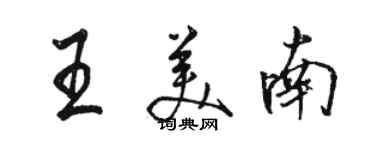 骆恒光王美南行书个性签名怎么写