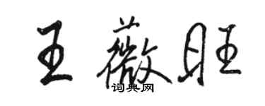 骆恒光王薇旺行书个性签名怎么写