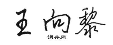 骆恒光王向黎行书个性签名怎么写