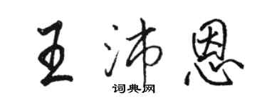 骆恒光王沛恩行书个性签名怎么写
