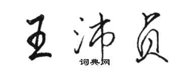 骆恒光王沛贞行书个性签名怎么写
