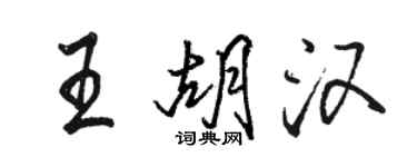 骆恒光王胡汉行书个性签名怎么写