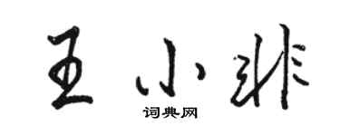骆恒光王小非行书个性签名怎么写