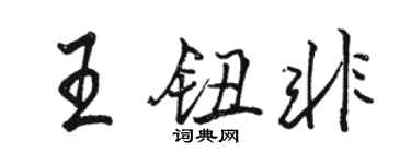 骆恒光王钮非行书个性签名怎么写