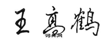 骆恒光王高鹤行书个性签名怎么写