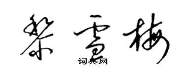 梁锦英黎雪梅草书个性签名怎么写