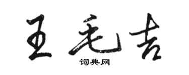 骆恒光王毛吉行书个性签名怎么写