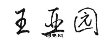 骆恒光王亚园行书个性签名怎么写