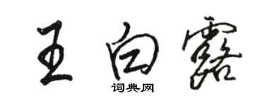 骆恒光王白露行书个性签名怎么写