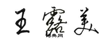 骆恒光王露美行书个性签名怎么写