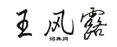 骆恒光王风露行书个性签名怎么写