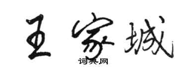 骆恒光王家城行书个性签名怎么写