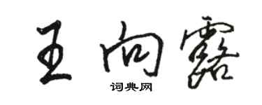 骆恒光王向露行书个性签名怎么写