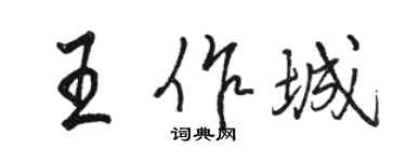 骆恒光王作城行书个性签名怎么写