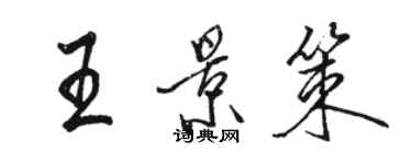 骆恒光王景策行书个性签名怎么写