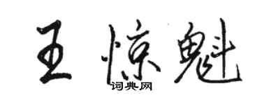 骆恒光王惊魁行书个性签名怎么写