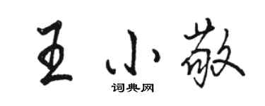 骆恒光王小敬行书个性签名怎么写