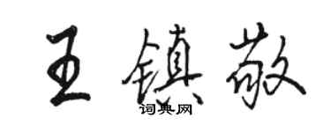 骆恒光王镇敬行书个性签名怎么写