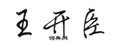骆恒光王开臣行书个性签名怎么写