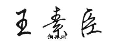 骆恒光王素臣行书个性签名怎么写