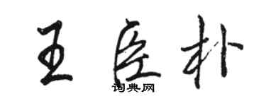 骆恒光王臣朴行书个性签名怎么写