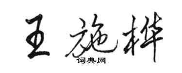骆恒光王施桦行书个性签名怎么写