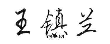 骆恒光王镇兰行书个性签名怎么写
