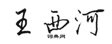 骆恒光王西河行书个性签名怎么写