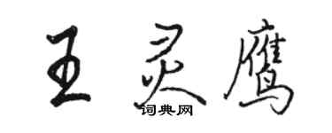 骆恒光王灵鹰行书个性签名怎么写