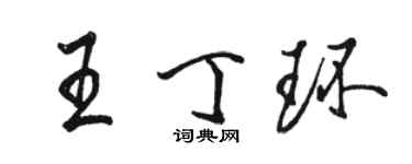 骆恒光王丁环行书个性签名怎么写