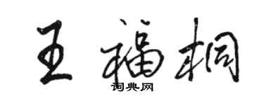 骆恒光王福桐行书个性签名怎么写