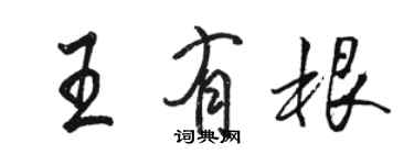 骆恒光王有根行书个性签名怎么写
